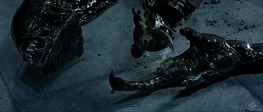 エイリアンVS. プレデターの画像