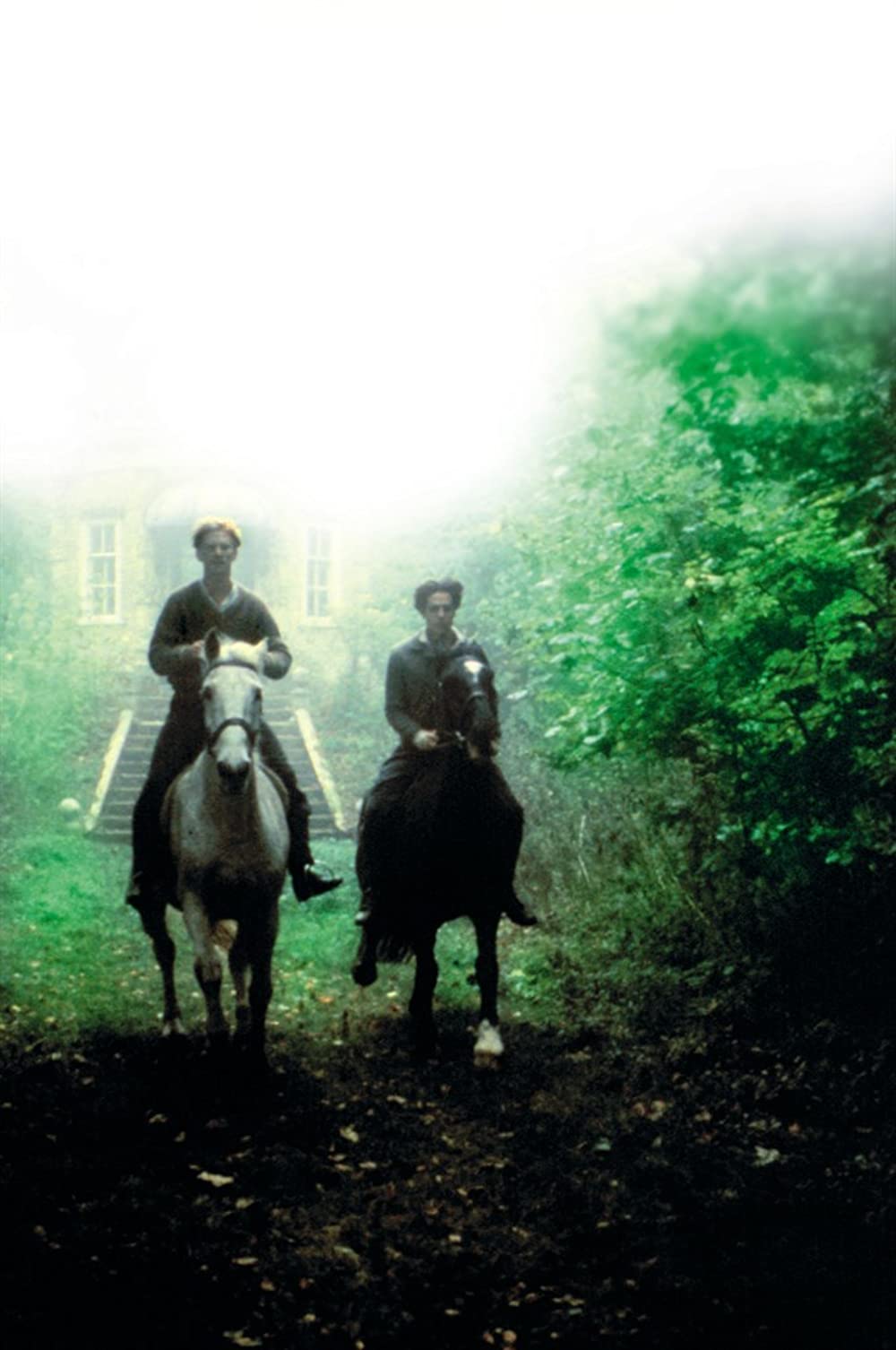 モーリスの画像