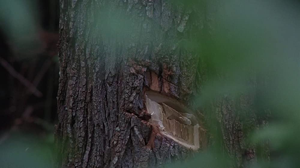 メイトワン-1920の画像