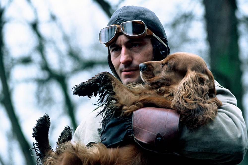 ダーク・ブルーの画像