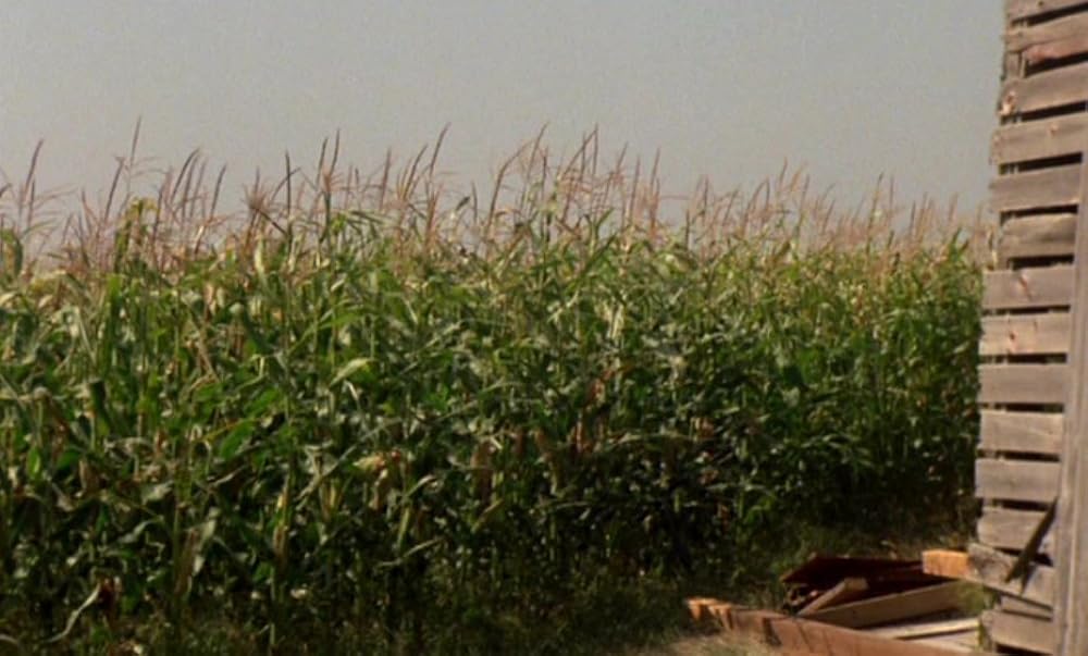 「チルドレン・オブ・ザ・コーン」の画像