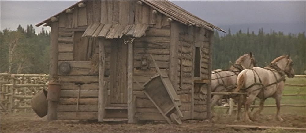 ビッグ・アメリカンの画像