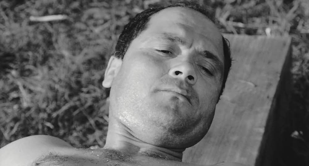 「ロゴパグ」の画像