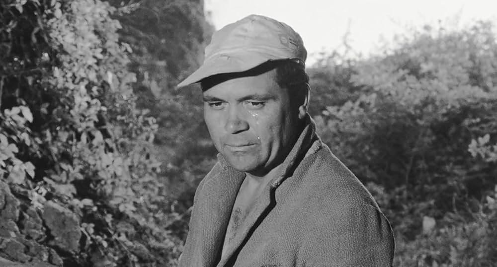 「ロゴパグ」の画像