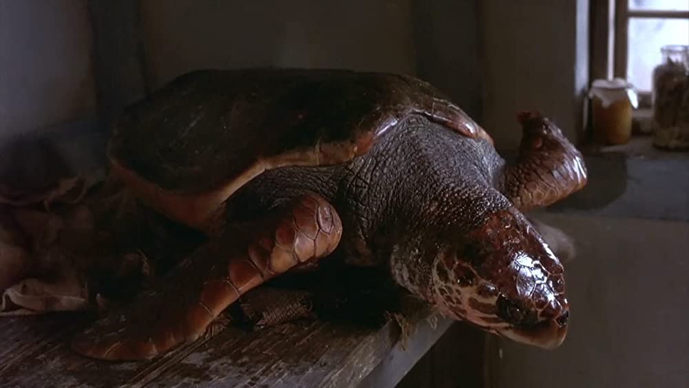 バベットの晩餐会の画像