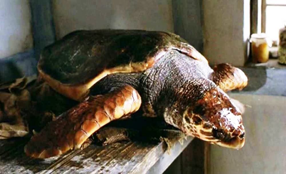 バベットの晩餐会の画像