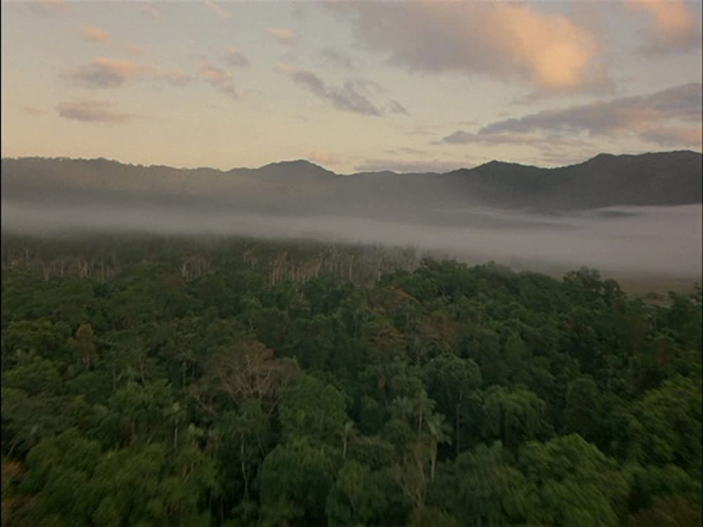 フルメタル・ジャケットの画像