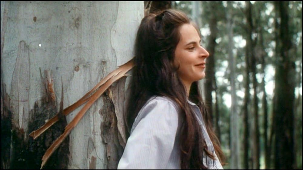 悪夢の系譜／日記に閉ざされた連続殺人の謎の画像