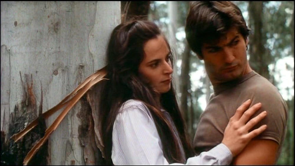 悪夢の系譜／日記に閉ざされた連続殺人の謎の画像