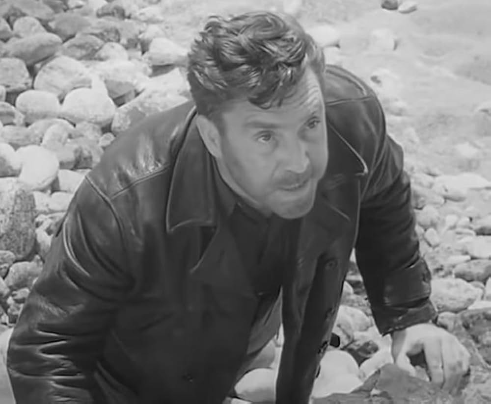 ヒッチ・ハイカーの画像