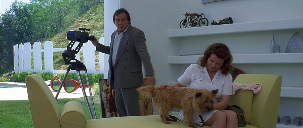 2 days トゥー・デイズの画像