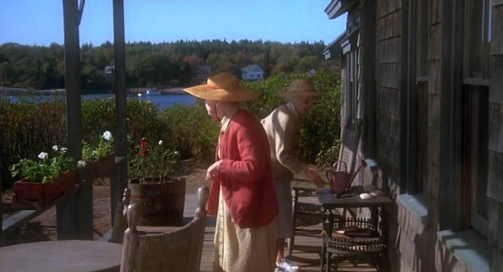 八月の鯨の画像