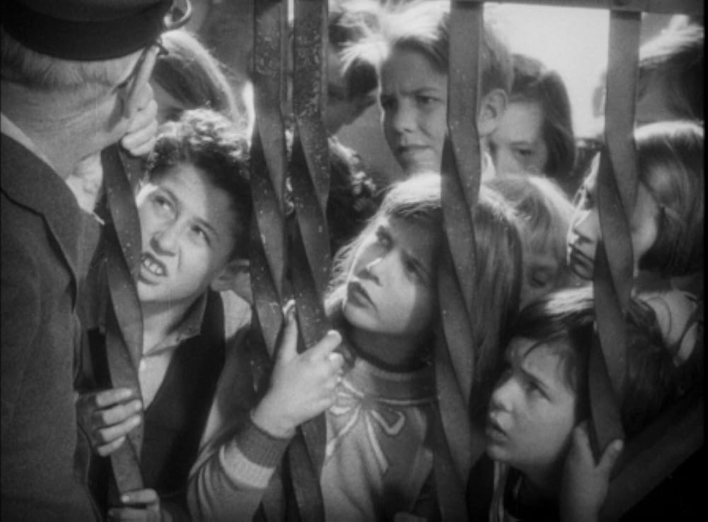 動物園の殺人の画像