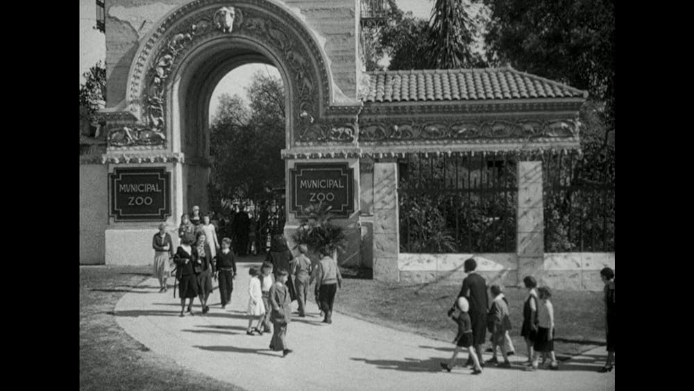 動物園の殺人の画像