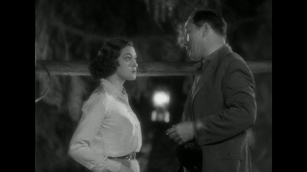 動物園の殺人の画像