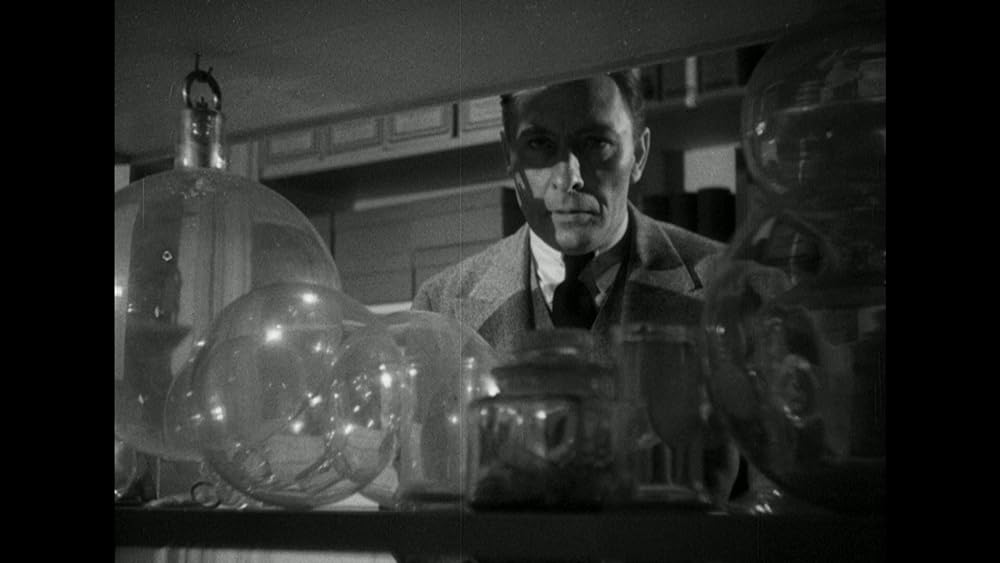 動物園の殺人の画像