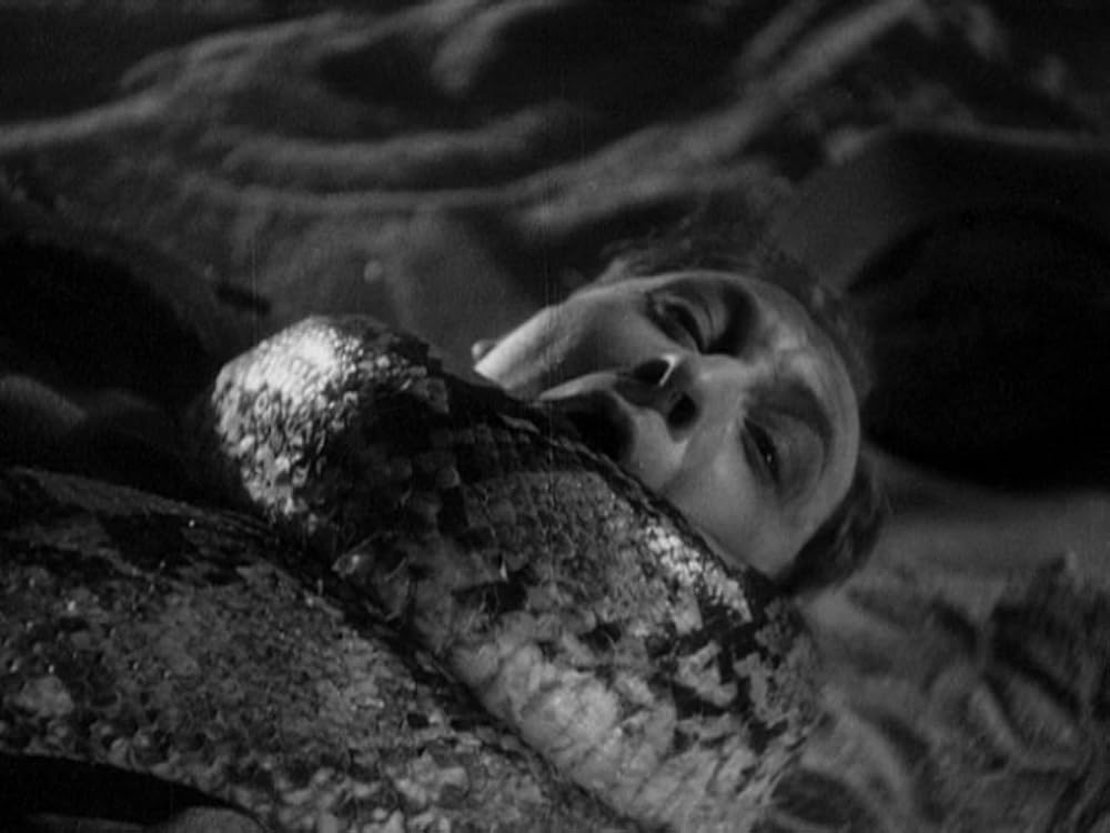 動物園の殺人の画像