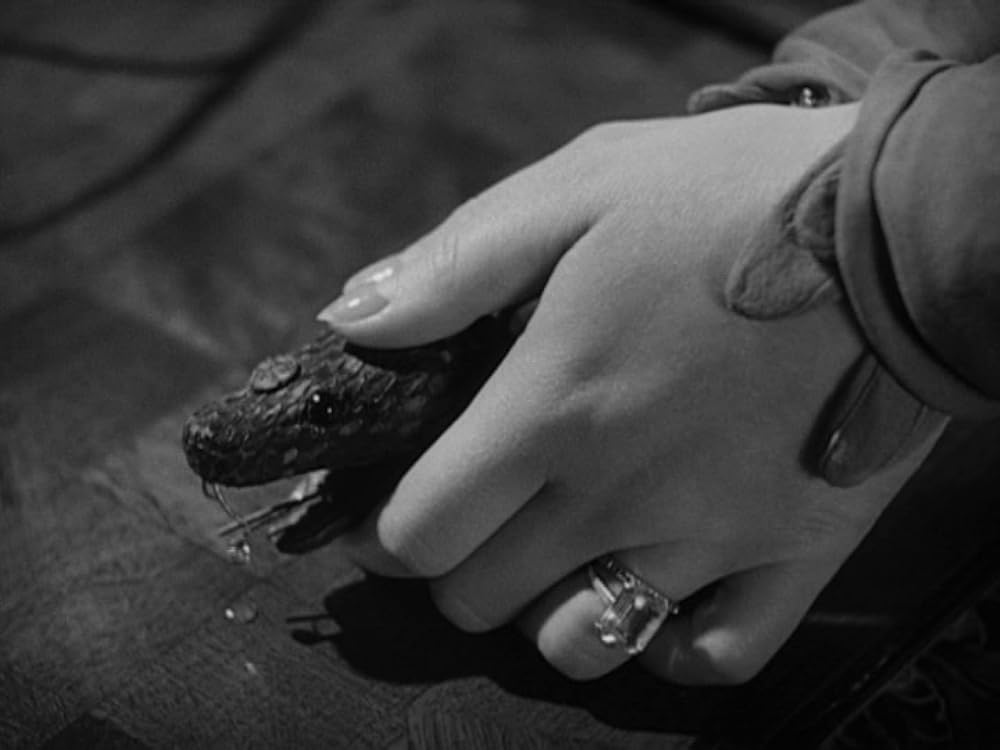 動物園の殺人の画像