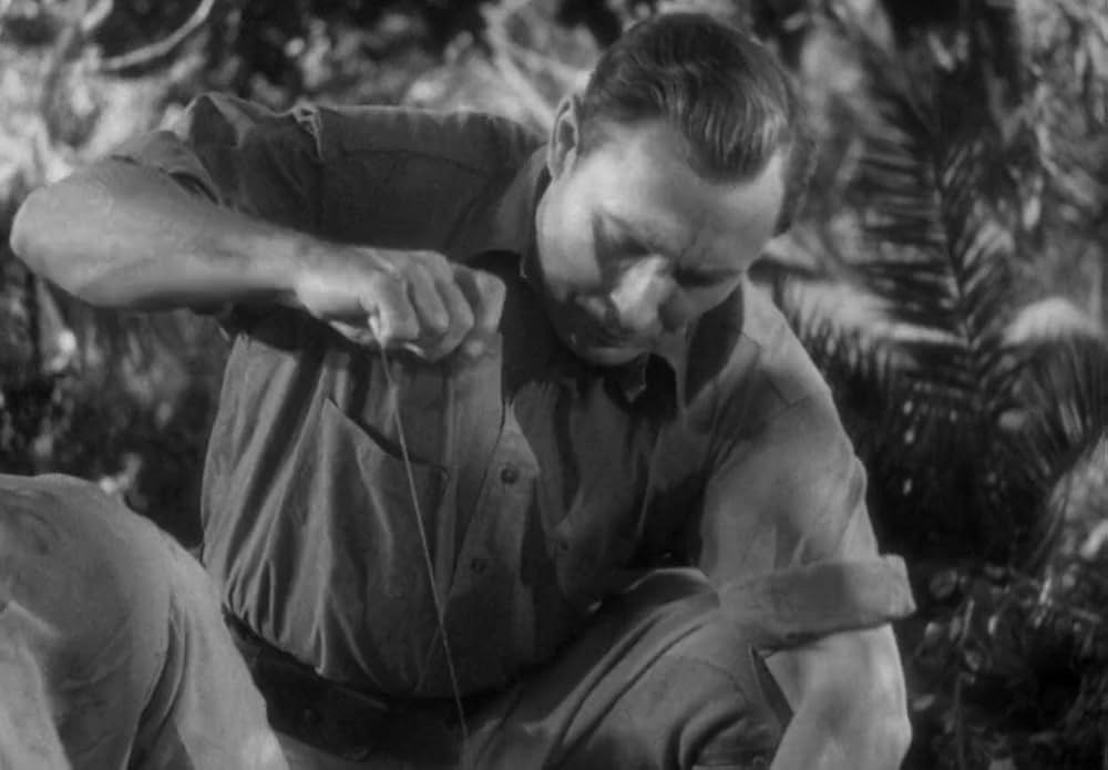 動物園の殺人の画像