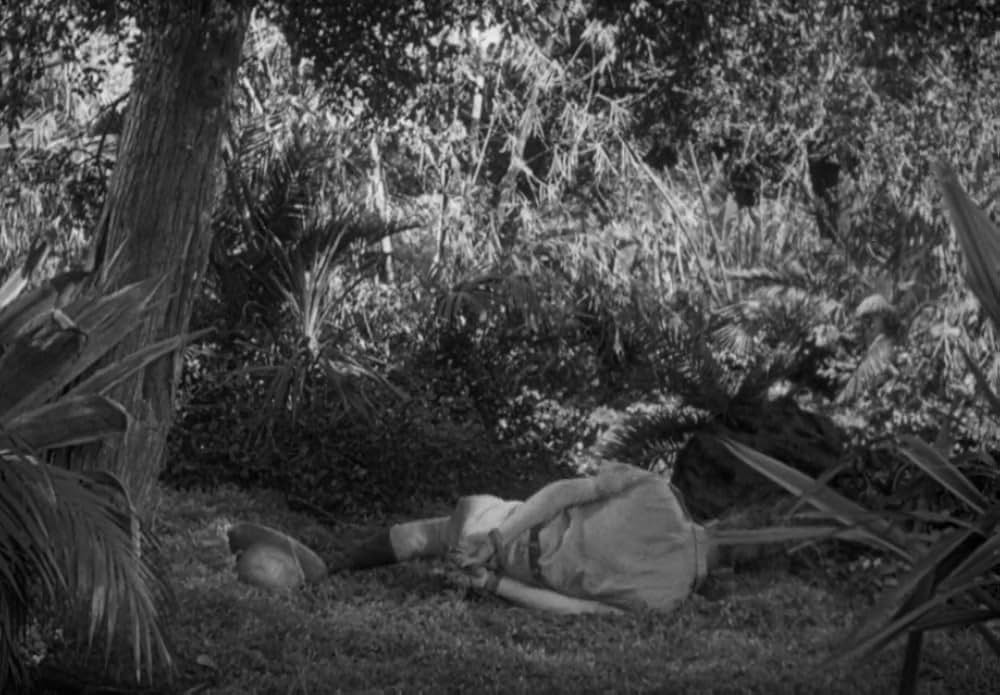 動物園の殺人の画像