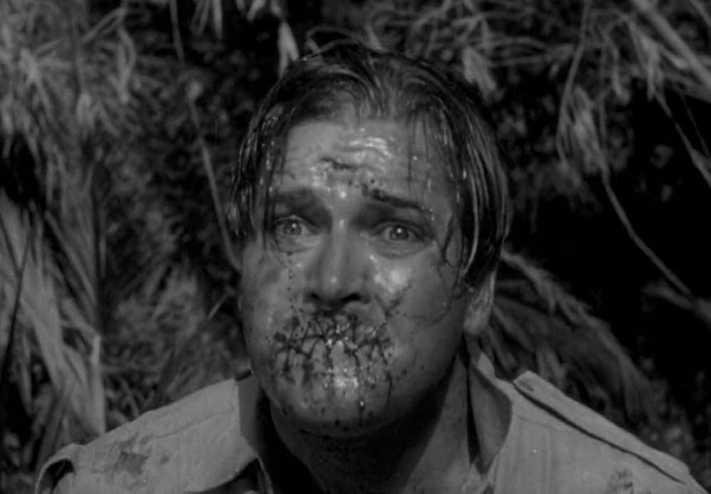 動物園の殺人の画像