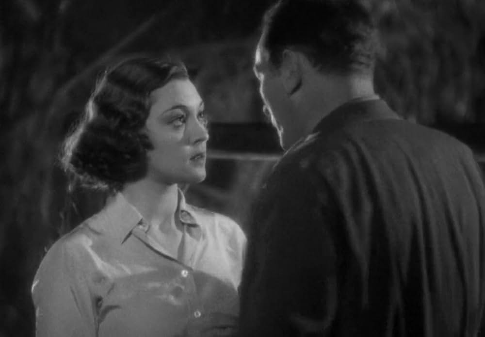 動物園の殺人の画像