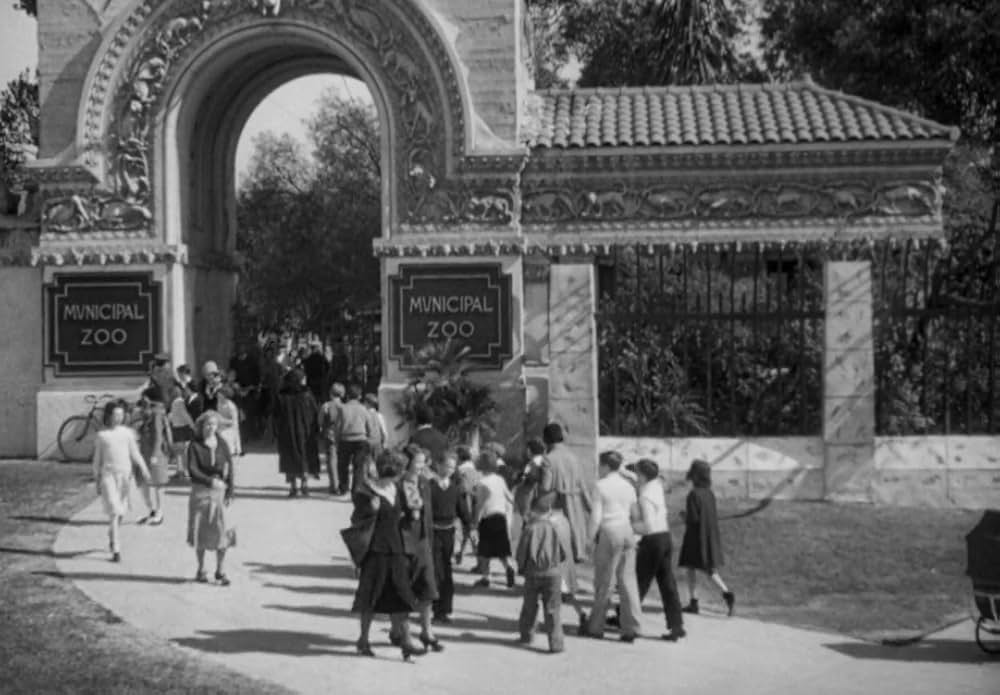 動物園の殺人の画像