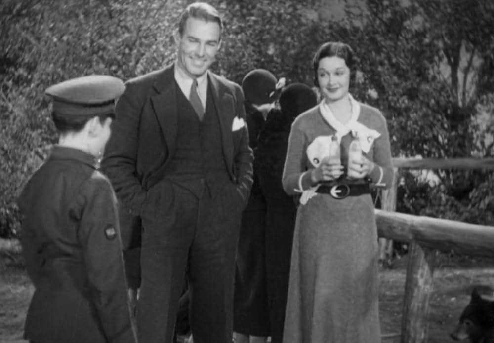 動物園の殺人の画像