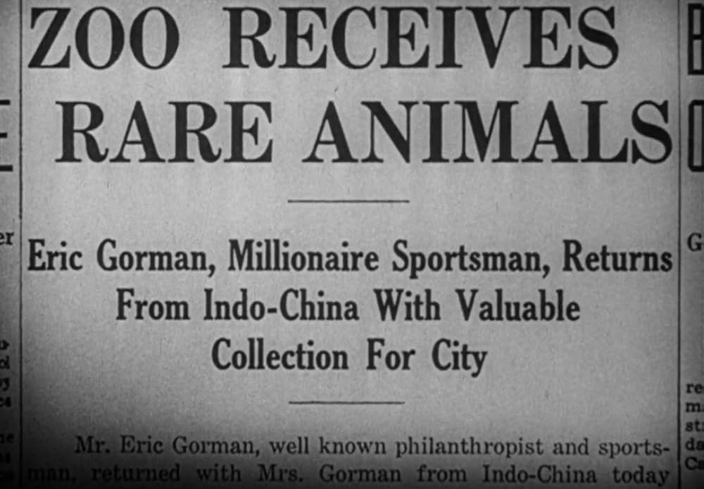 動物園の殺人の画像