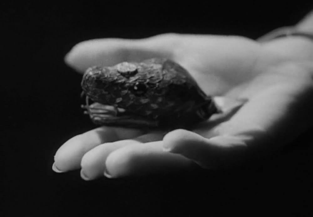 動物園の殺人の画像