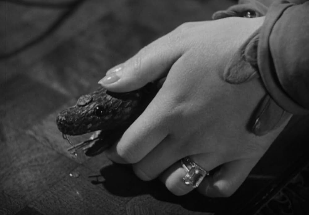 動物園の殺人の画像