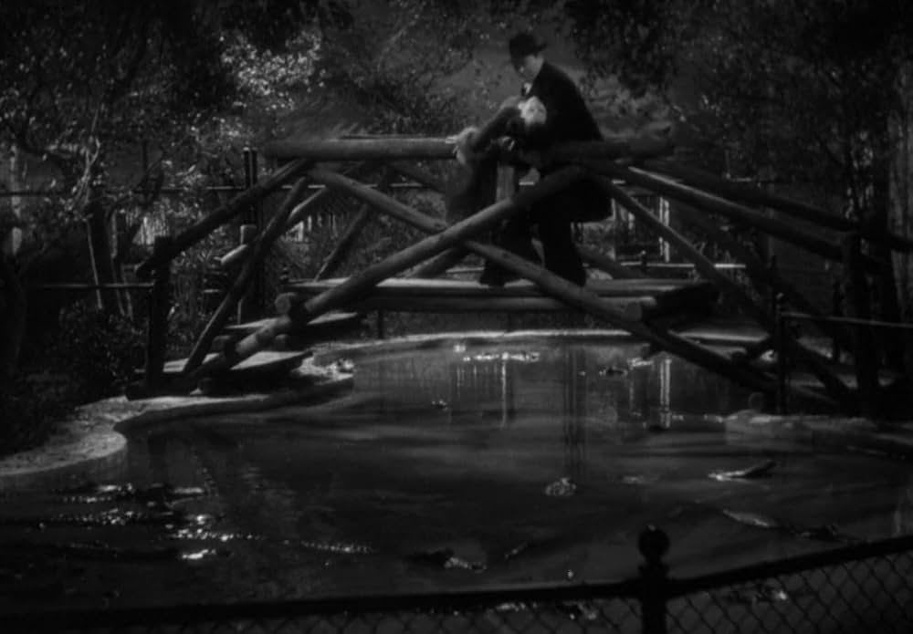 動物園の殺人の画像