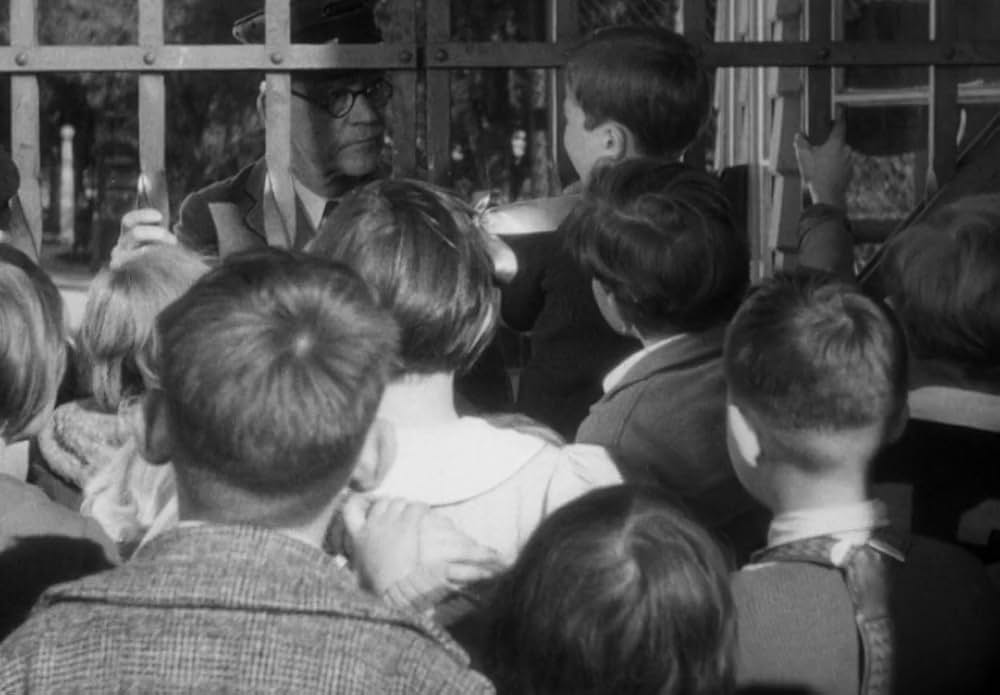 動物園の殺人の画像