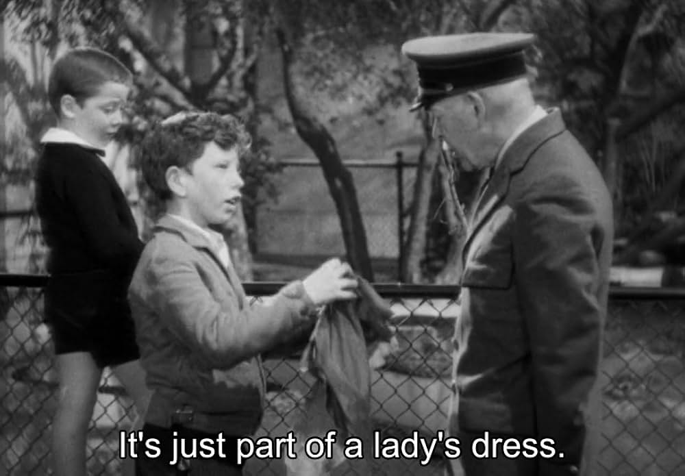 動物園の殺人の画像