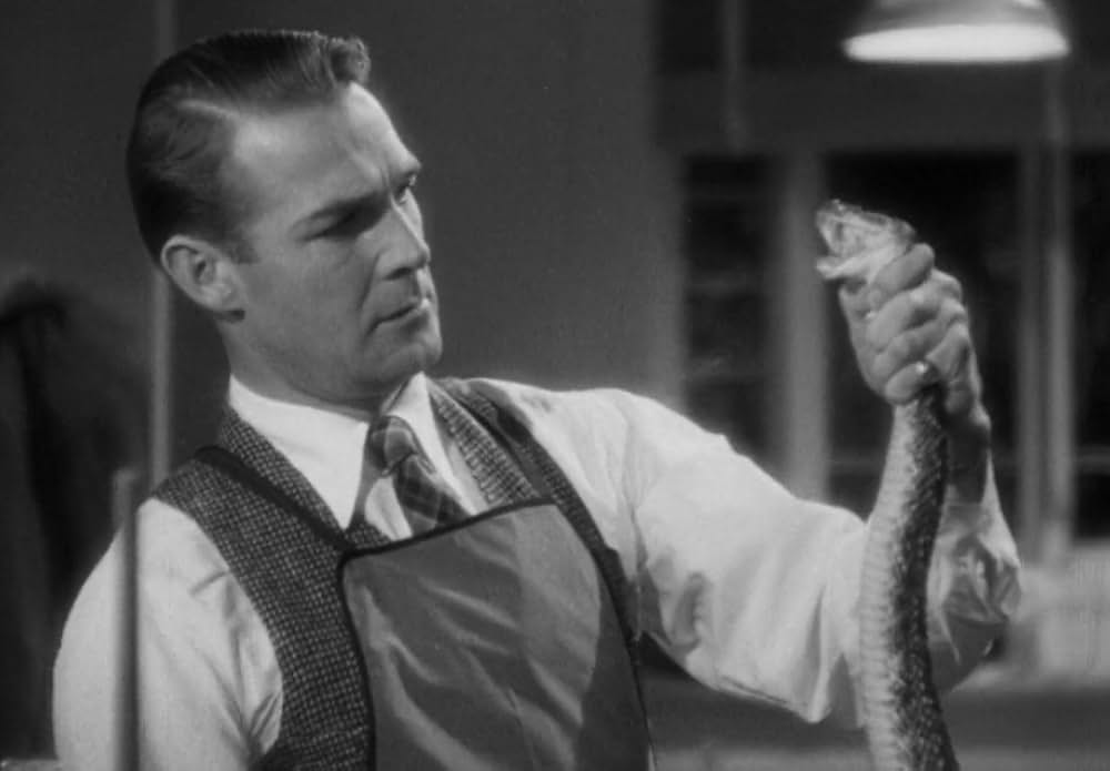 動物園の殺人の画像