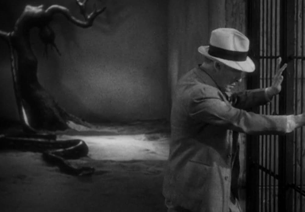 動物園の殺人の画像