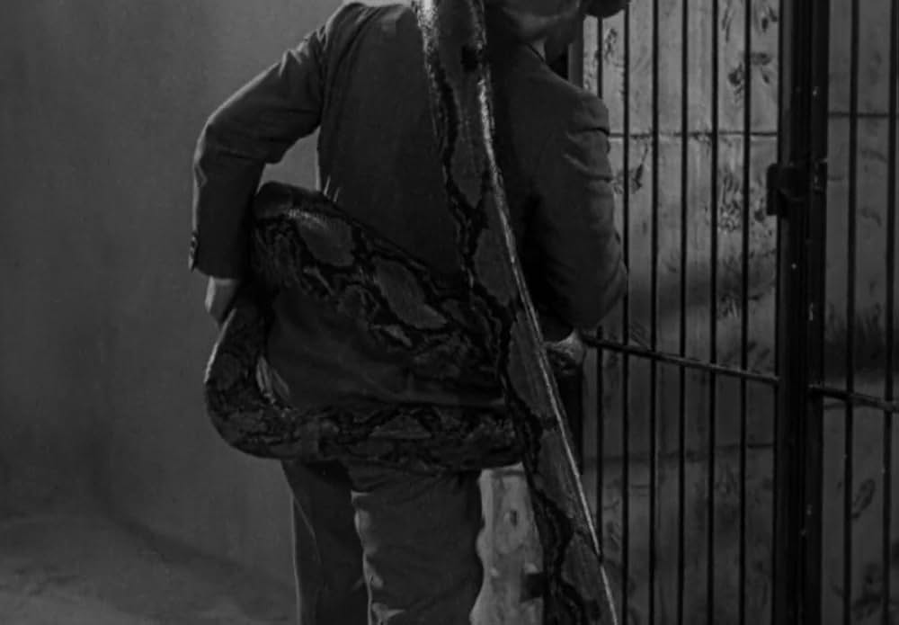 動物園の殺人の画像