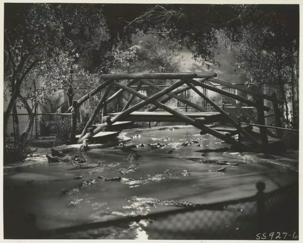 動物園殺人事件／動物園の殺人の画像