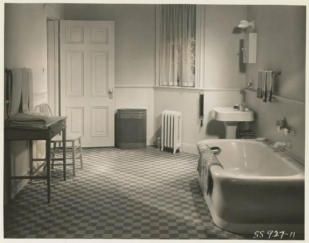 動物園殺人事件／動物園の殺人の画像