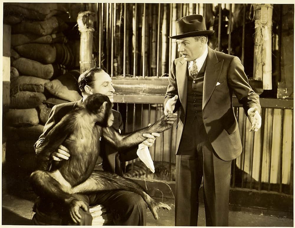 動物園殺人事件／動物園の殺人の画像