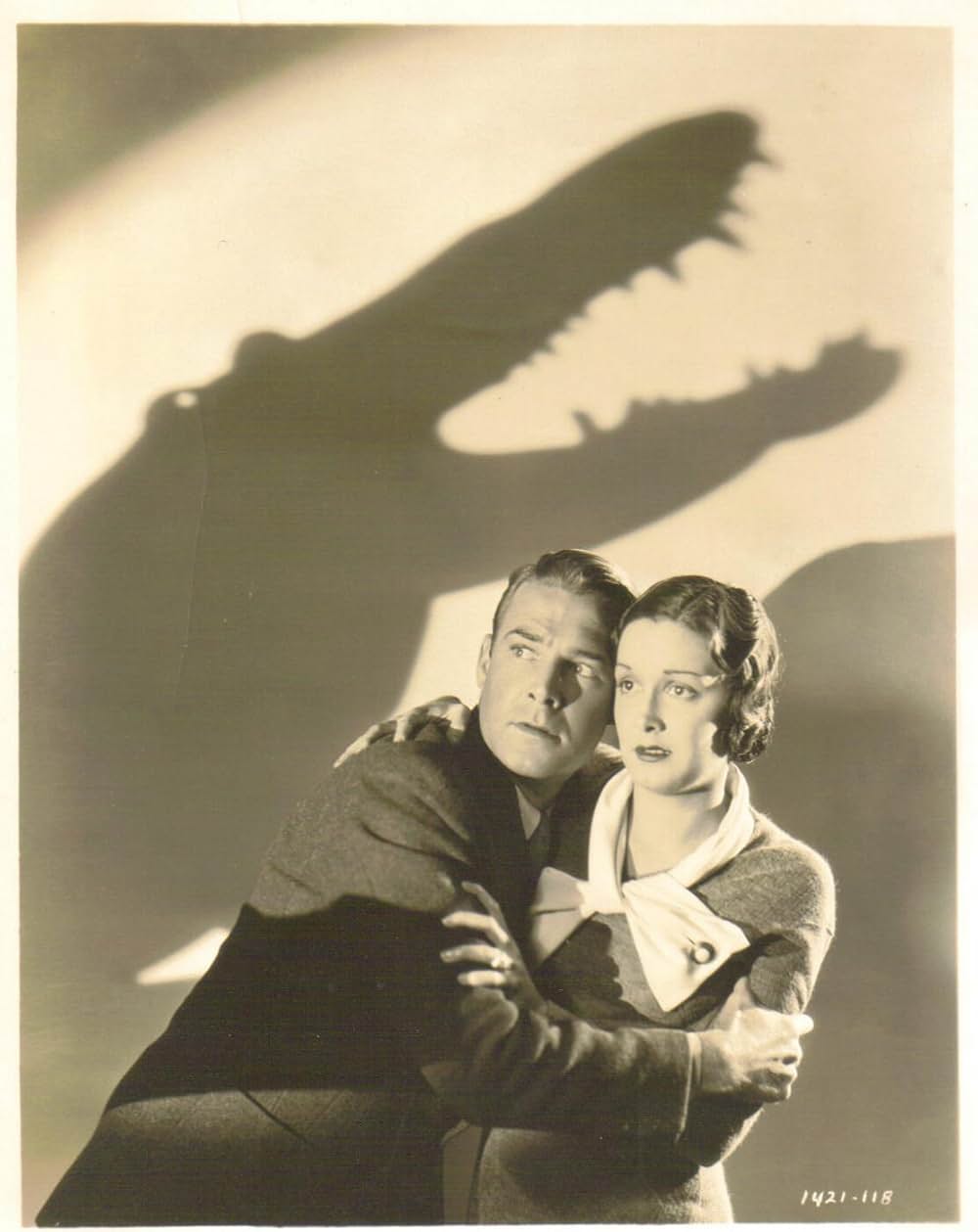 動物園殺人事件／動物園の殺人の画像