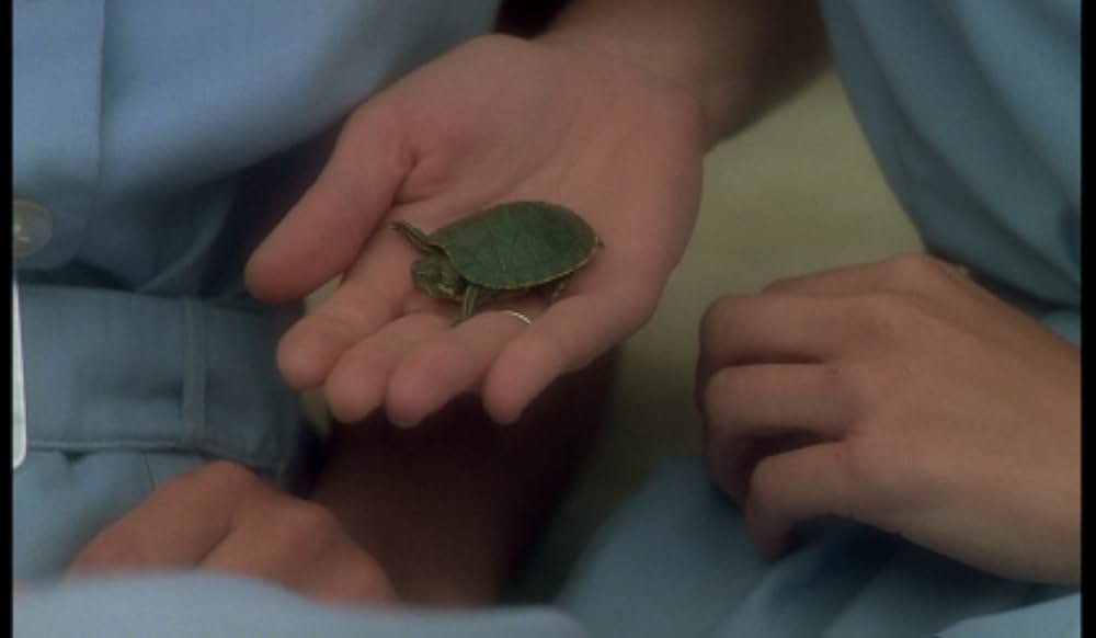 ビリティスの画像