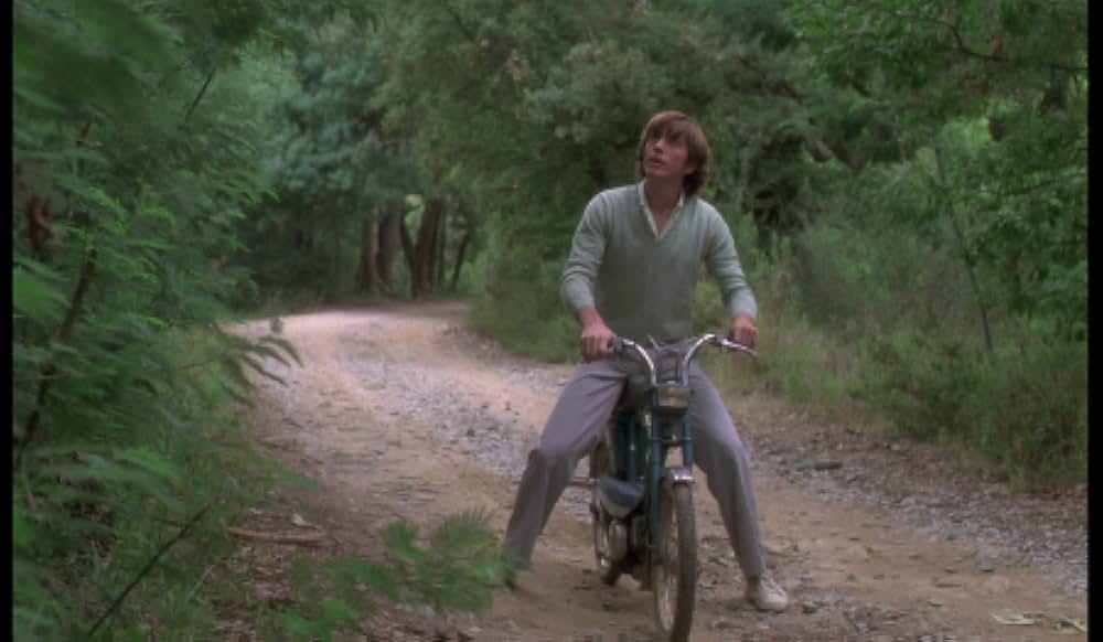 ビリティスの画像