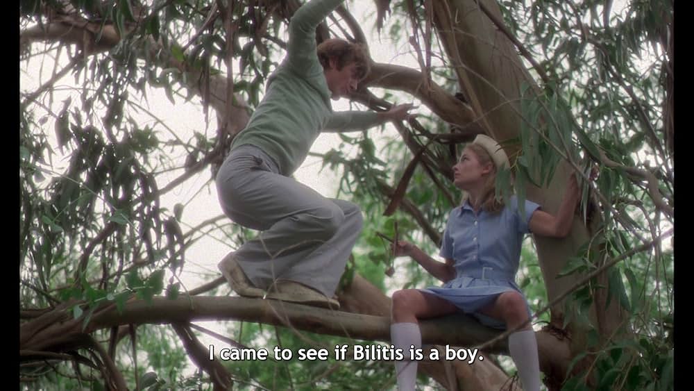 ビリティスの画像