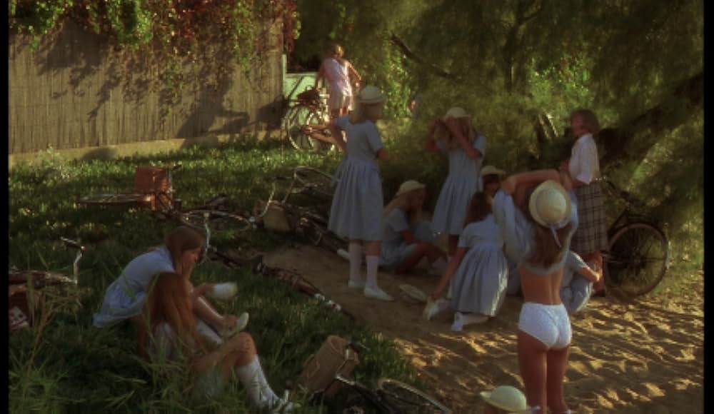 ビリティスの画像