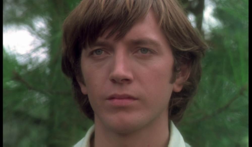 ビリティスの画像