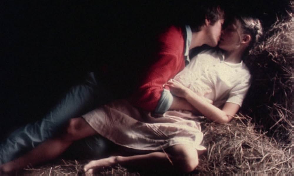 ビリティスの画像