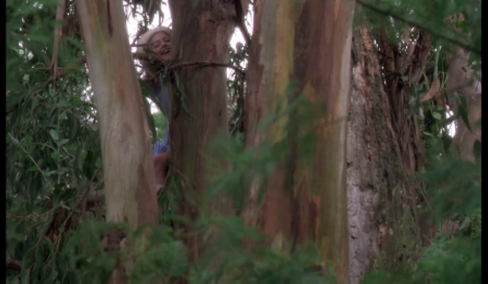 ビリティスの画像