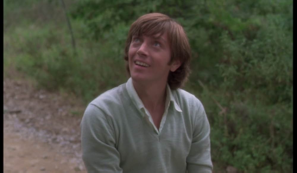 ビリティスの画像