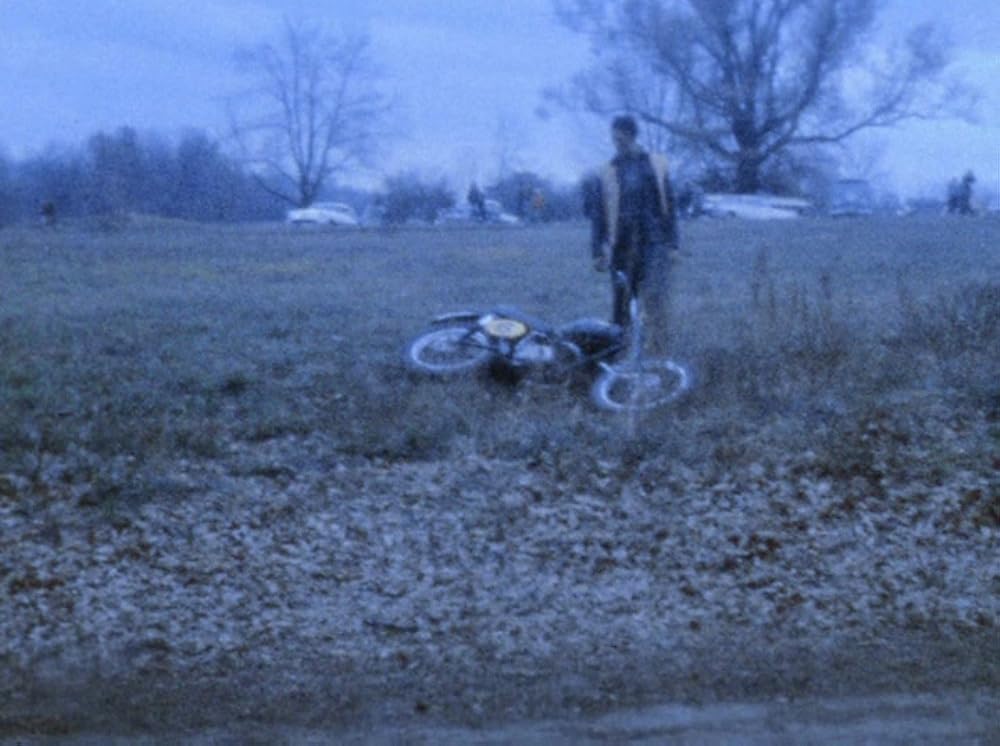 スコピオ・ライジングの画像